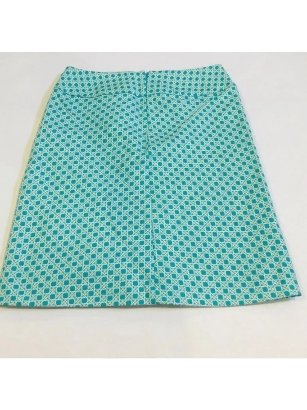 NWOT Talbots a-line knee skirt 100% cotton blue and white 4P